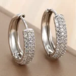 Crystal hoop stainless steel earrings wholesale supplier Yanluo Jewelry